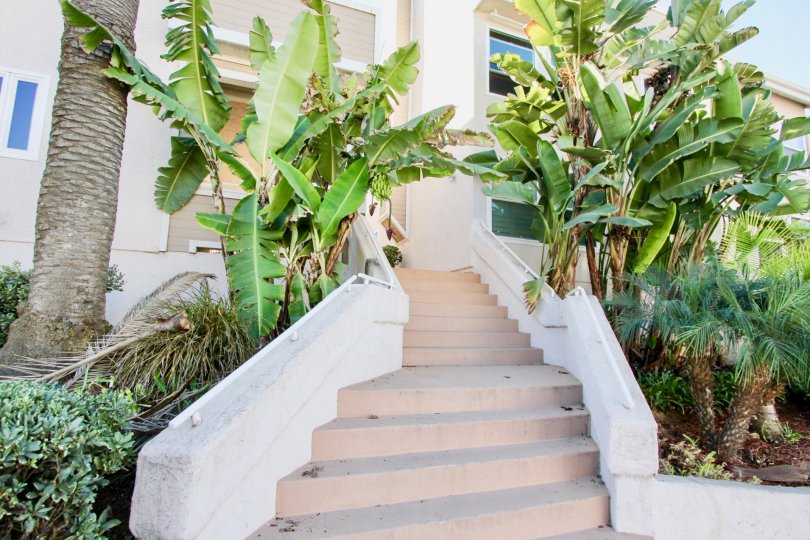 Sandcastle Townhomes Imperial Beach CA